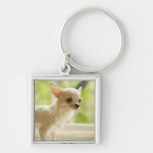 Chihuahua Sleutelhanger