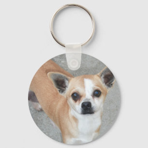CHIHUAHUA SLEUTELHANGER