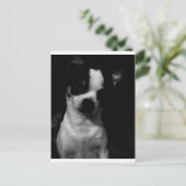 Chihuahua Small Dog Briefkaart (Staand voorkant)
