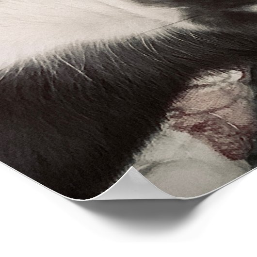 Chihuahua Smiling Print (Hoek)