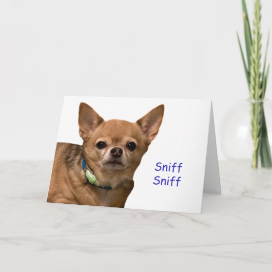 Chihuahua Sniff Verjaardag Kaart (Voorkant)