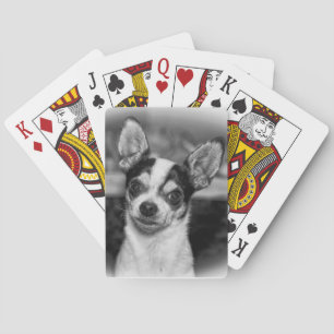 Chihuahua Speelkaarten