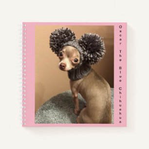 Chihuahua spiral notebook notitieboek