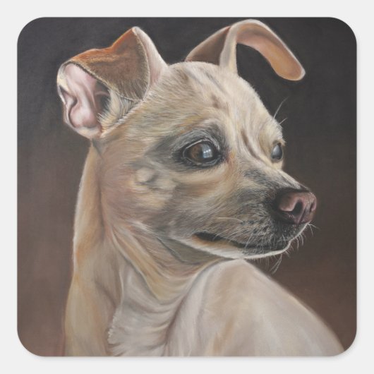 Chihuahua stickers (Voorkant)