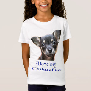 Chihuahua t-shirt. t-shirt