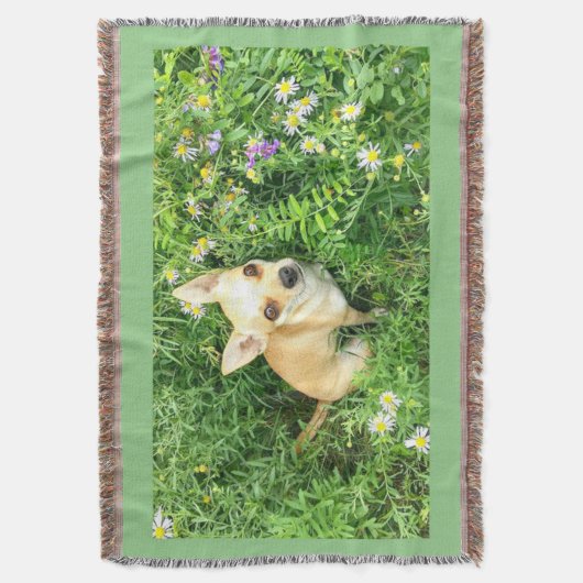 Chihuahua tapestry "sage green" gooi. deken (Voorkant Verticaal)