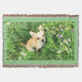 Chihuahua tapestry "sage green" gooi. deken (Voorkant)