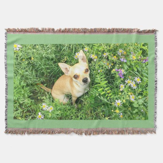 Chihuahua tapestry "sage green" gooi. deken (Voorkant)