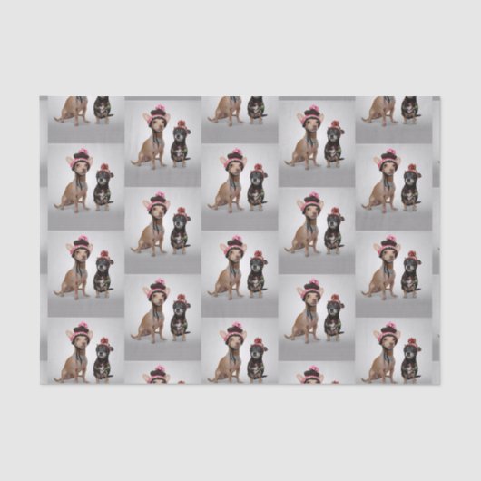 Chihuahua Tissuepapier (Voorkant)