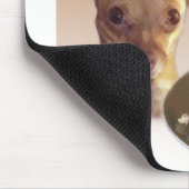 Chihuahua Turkije Muismat (Hoek)