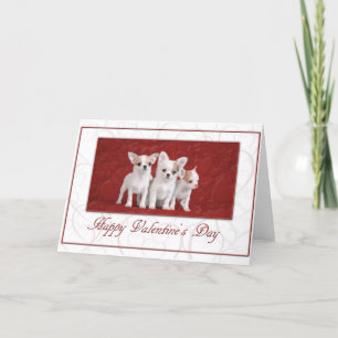 Chihuahua Valentijn kaart 2