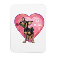 Chihuahua Valentijnsdag