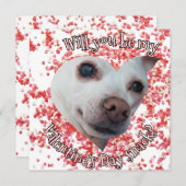 Chihuahua Valentijnsdag Plat Kerstkaart (Voorkant / Achterkant)