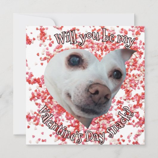 Chihuahua Valentijnsdag Plat Kerstkaart (Voorkant)