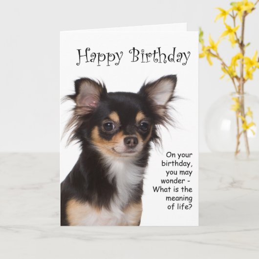 Chihuahua Verjaardag Kaart (Gele Bloem)