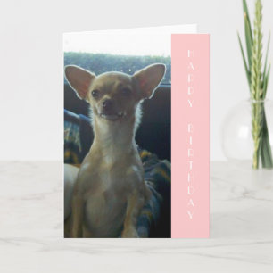 Chihuahua Verjaardag Kaart
