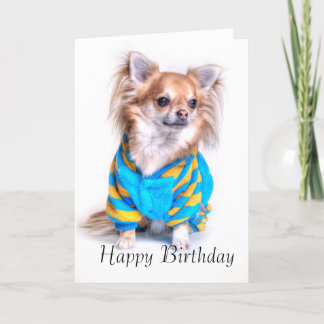 Chihuahua Verjaardag Kaart