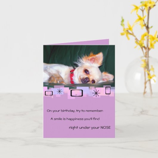 Chihuahua Verjaardag Wenskaart Kaart (Gele Bloem)