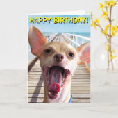 Chihuahua verjaardagskaart kaart (Gele Bloem)