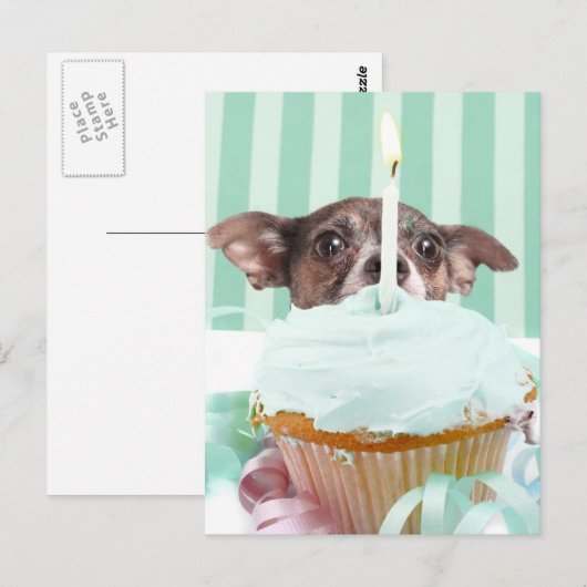 Chihuahua verjaardagstaart briefkaart (Voorkant / Achterkant)