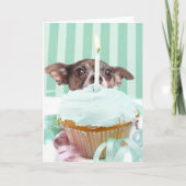 Chihuahua verjaardagstaart kaart (Voorkant)
