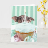 Chihuahua verjaardagstaart kaart (Gele Bloem)