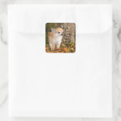 Chihuahua    vierkante sticker (Tas)
