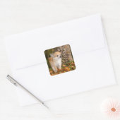 Chihuahua    vierkante sticker (Envelop)