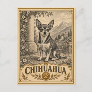 Chihuahua, Vintage Heritage Hond Briefkaart