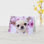 Chihuahua-wenskaart Kaart (Gele Bloem)