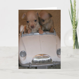 Chihuahua-Wenskaart Kaart