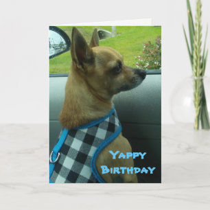 Chihuahua Yappy Birthday Card Kaart