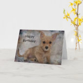 Chihuahua/Yorkie Pup Kaart (Gele Bloem)