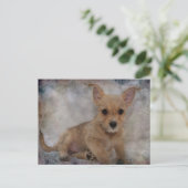 Chihuahua/Yorkie Puppie Briefkaart (Staand voorkant)