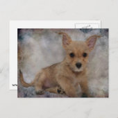 Chihuahua/Yorkie Puppie Briefkaart (Voorkant / Achterkant)