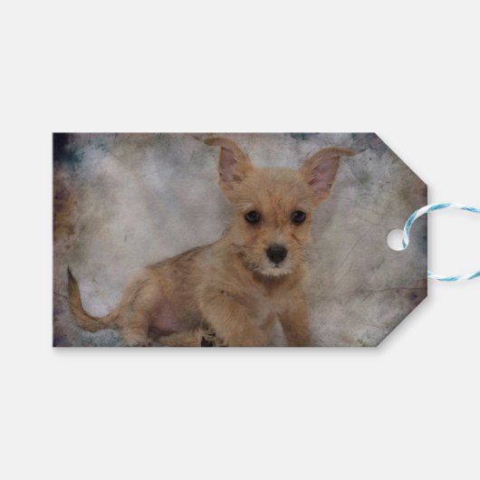 Chihuahua/Yorkie Puppy Cadeaulabel (Voorkant (Horizontaal))