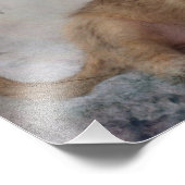 Chihuahua/Yorkie Puppy Foto Afdruk (Hoek)