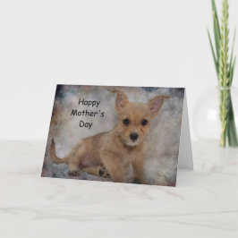Chihuahua/Yorkie Puppy Kaart