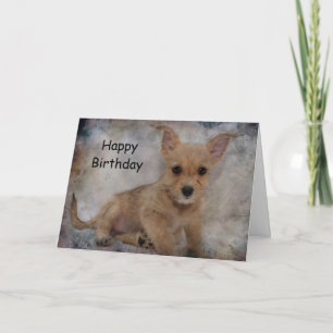 Chihuahua/Yorkie Puppy Kaart