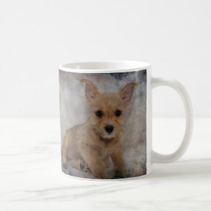 Chihuahua/Yorkie Puppy Koffiemok