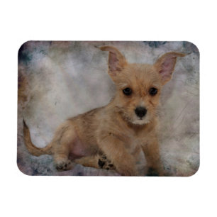 Chihuahua/Yorkie Puppy Magneet