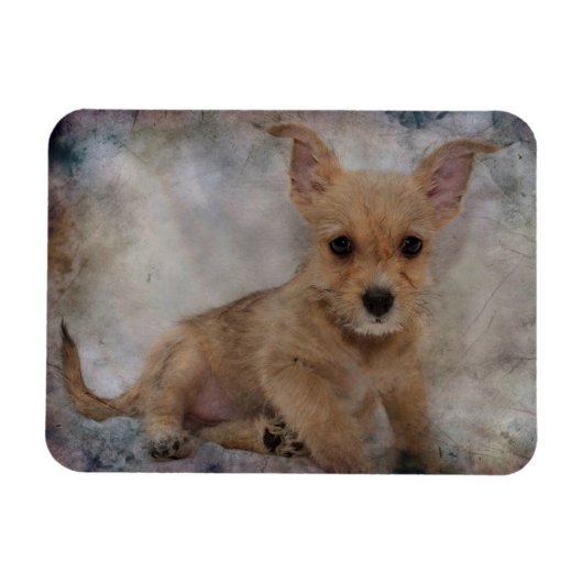 Chihuahua/Yorkie Puppy Magneet (Horizontaal)