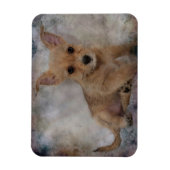 Chihuahua/Yorkie Puppy Magneet (Verticaal)