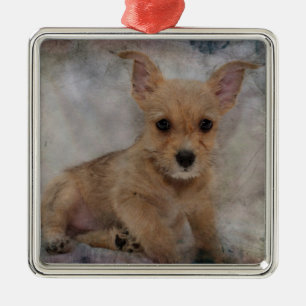 Chihuahua/Yorkie Puppy Metalen Ornament
