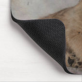 Chihuahua/Yorkie Puppy Muismat (Hoek)