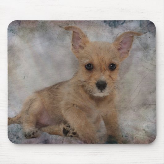 Chihuahua/Yorkie Puppy Muismat (Voorkant)