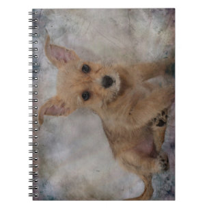 Chihuahua/Yorkie Puppy Notitieboek