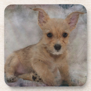 Chihuahua/Yorkie Puppy Onderzetter