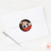 CHIHUAHUA ZEG KAAS! RONDE STICKER (Envelop)