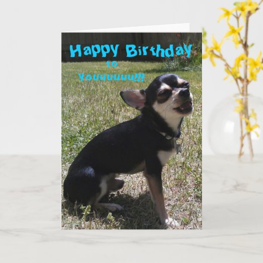 Chihuahua zingt Happy Birthday! Kaart (Gele Bloem)
